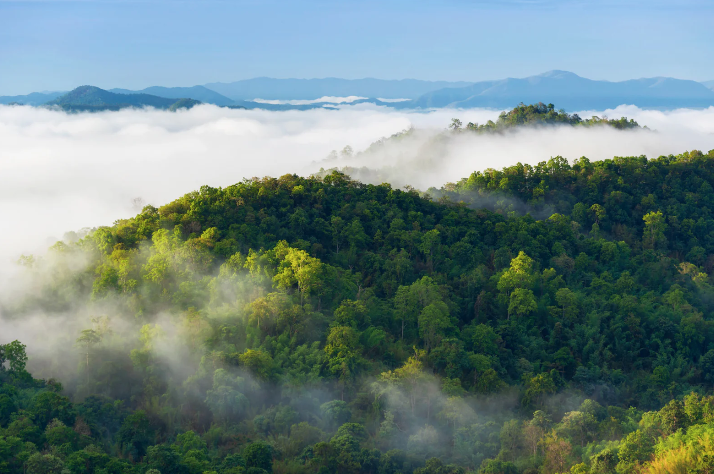 Generative AI: Environmental Considerations